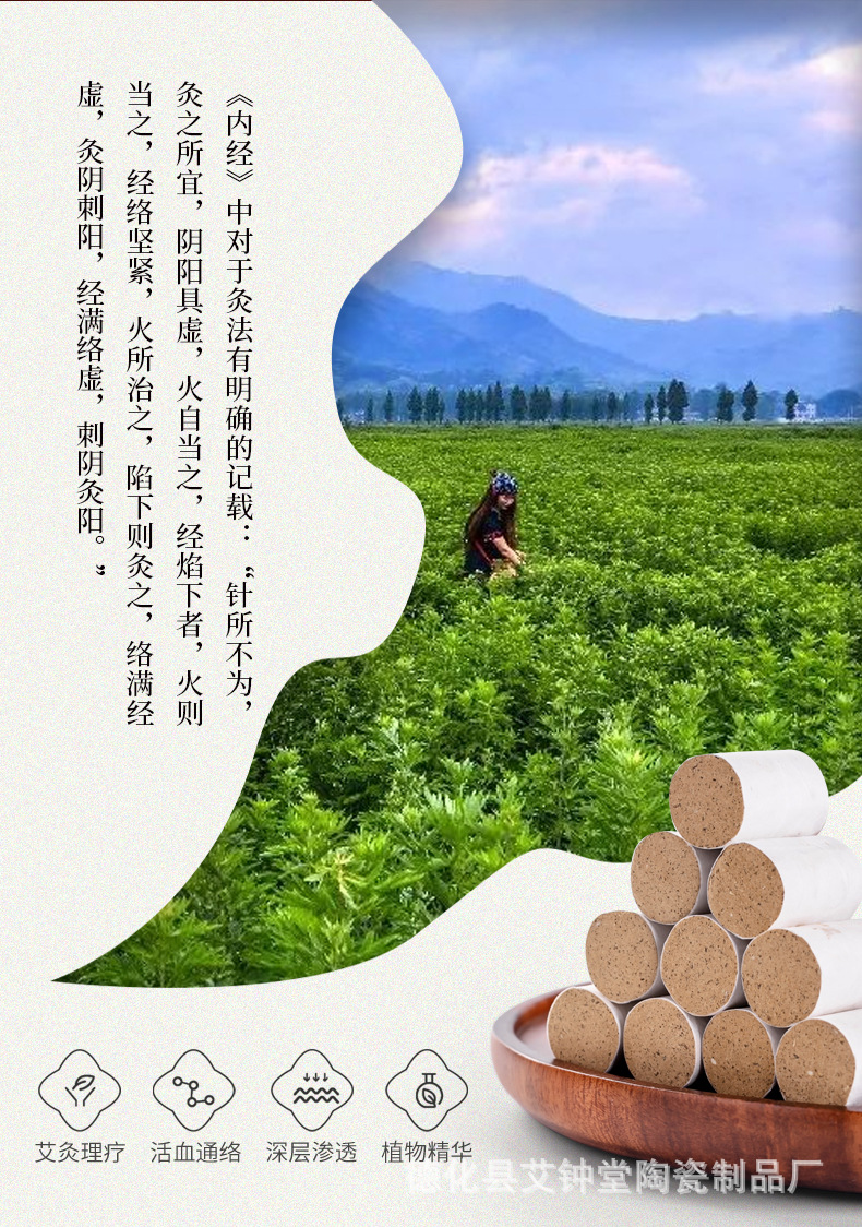 Moxa Rolls and Cones Aged Pure Mugwort Ai Cao Moxibustion Sticks for Home Warming Therapy overview