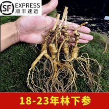 �˅��������rɽ��18���˅��r���|���˅��L��ɽ�˅��Ҝ��ݾ�