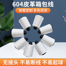 ���ٜ�]�p�x��20S/2�д־� 604Ƥ������� 202�h���p�x�C��Ƥ��