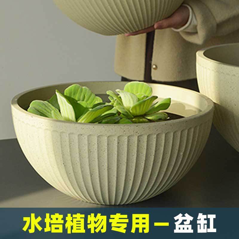 睡蓮鉢、ボウル、蓮専用鉢、蓮と銅貨草の水耕栽培容器、無孔植木鉢、蓮水槽、プラスチック|undefined