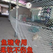 ����������W�ϾW�~������~���W�O�W���~�W�o�Y̧���l��