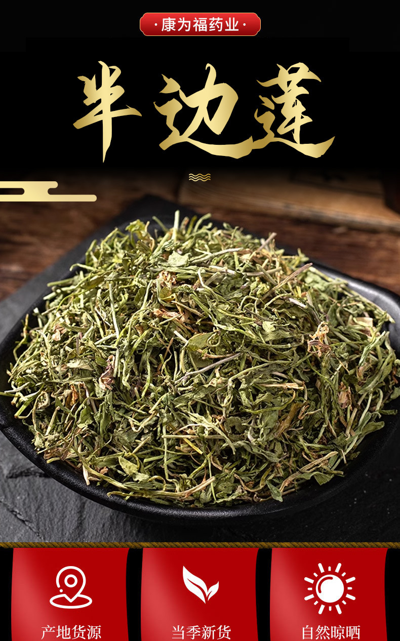 Ban Bian Lian (Lobelia chinensis) — Dried Wild-Grown Chinese Herb, 500g overview