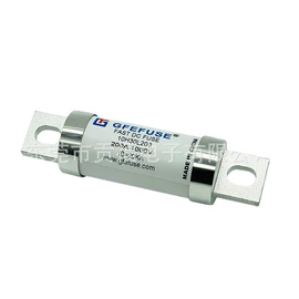 保险丝座(盒);一次性保险丝;IGBT模块