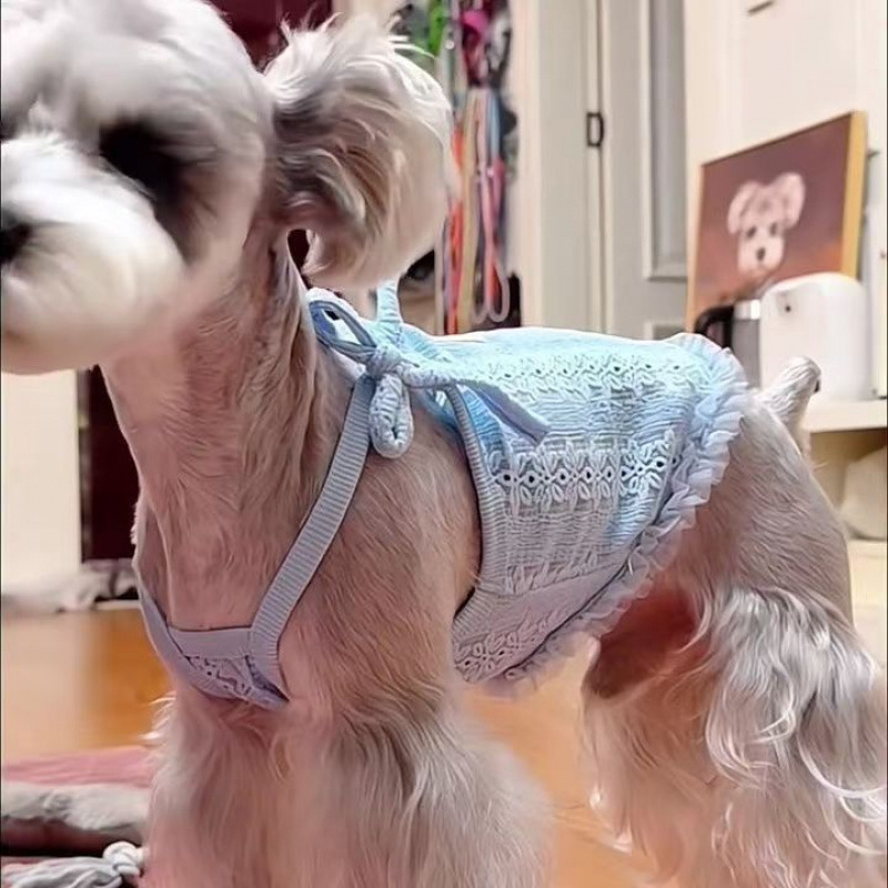 Pet Dog Harness Retro Bow Little Harness encaje que osos Schnauzer Teddy Yorkshire ropa