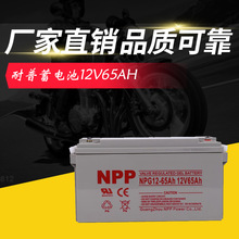 NPP耐普蓄电池NP/NPG 12V17AH24AH38AH65AH100AH120AH150A ups用