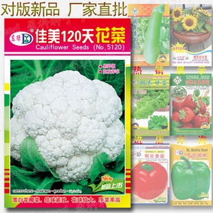 1�˼���120�컨�˷N�� �Y��o��ѩ�״���Ҭ�˸��{���󻨲˷N��