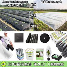 跨境农用PP纺粘无纺布除草防草地布保温防寒布罩园艺布跨境专供