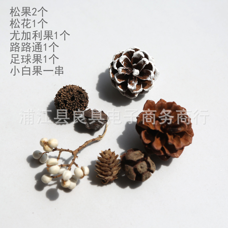 植物松果磁力冰箱贴干花果实种子装饰DIY材料包幼儿园创意手工|undefined