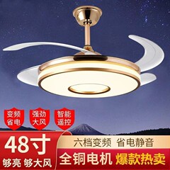 Bluetoothステルス扇風機のレストランのシンプルな音響扇風機の客間の寝室の知能の新型のランプ付きの扇風機の明かり