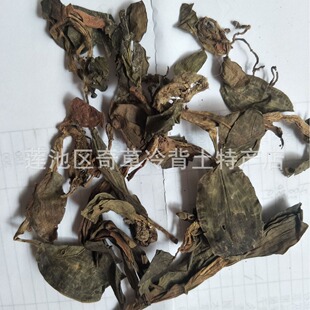 ���~�m,�Ō��w,�m��ֲ�����~�mȫ��,��؛���l��ș�İ��~�m