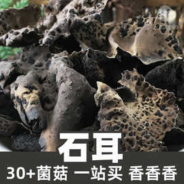 石耳1kg食品级菌菇原料干散货stone fungus