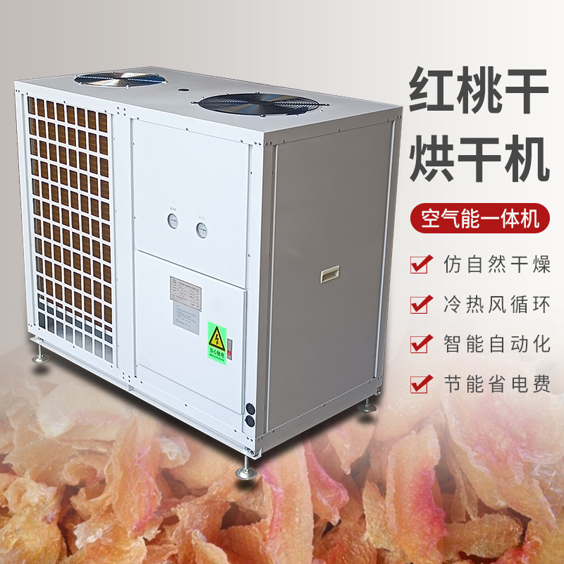 空气能热泵红桃干烘干机 桃子干烘干箱 果脯烘烤设备 厂家直供
