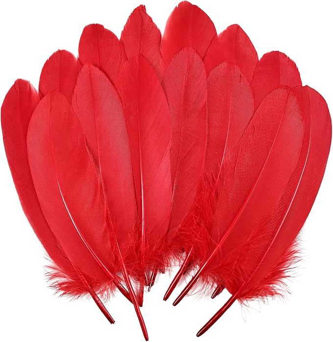 Fabricantes lotes plumas de ganso blanco natural plumas DIY artesanías accesorios de ropa de boda accesorios de decoración artesanal image 25