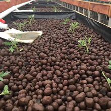 厂家批发建筑陶粒卫生间厕所回填阳台垫底铺面防潮轻质专用颗