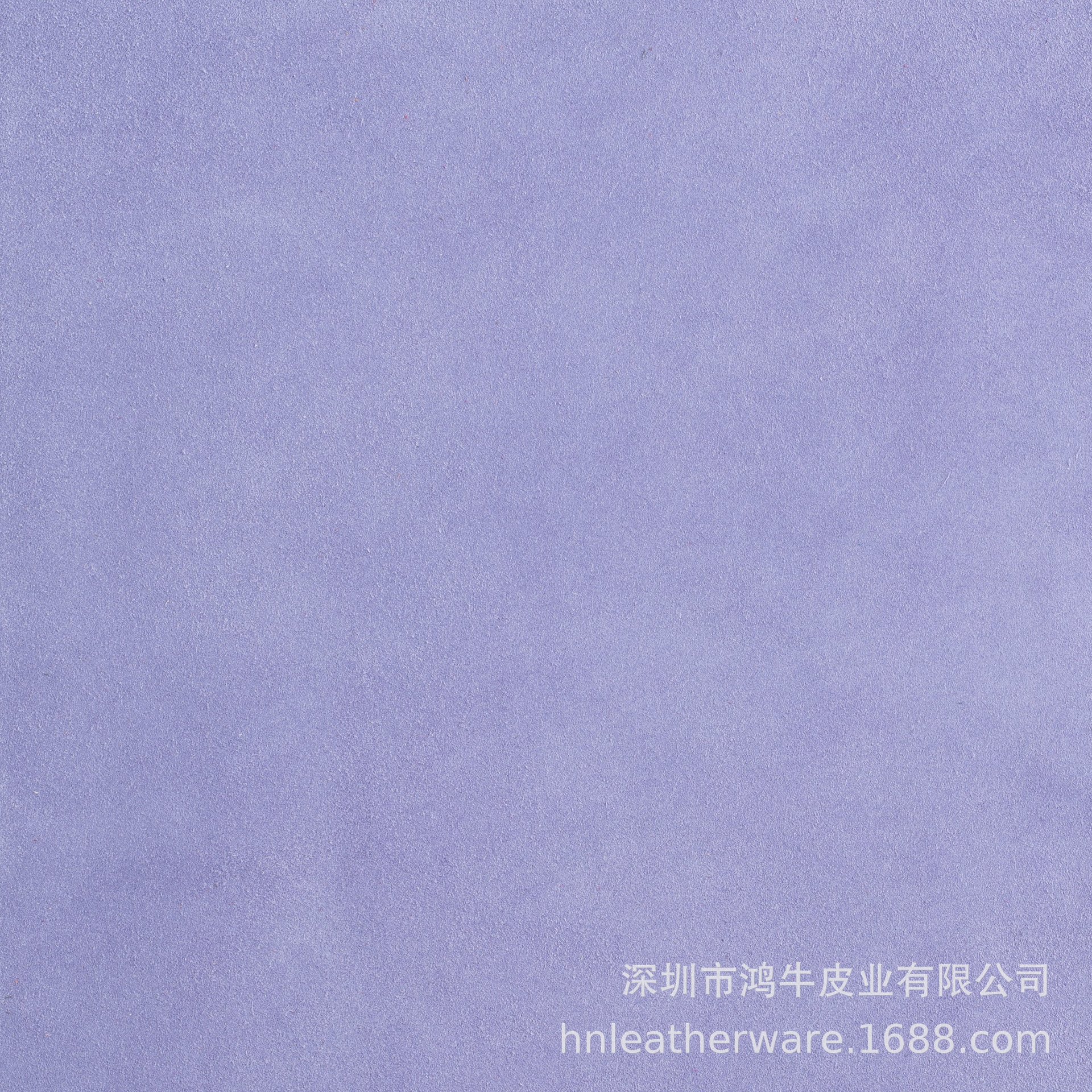 보라색