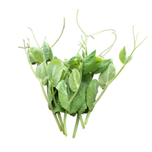 豌豆种籽大豌豆苗蔬菜种子水培无须莱豆小尖芽菜四季种植蔬菜种孑