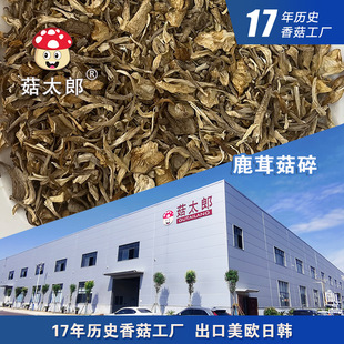 ¹�׹��鹤�S߅����¹�׹��K��๽�Ƀ��o�s¹�׹�ñĢ�������W��