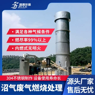 内燃式沼气火炬 200方垃圾填埋场沼气火炬 沼气废气燃烧处理设备