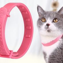 ������x�Ȧ؈�����؈Ȧ����ȥ��ʭ���\�x������ș�iȦ������Ʒ