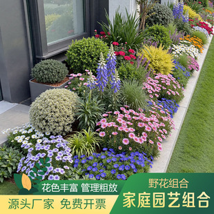 ��Ʒ�e�����@Ұ���M�ϸߙn���ܷN�������׷N���B����ͥԺƬֲ���^