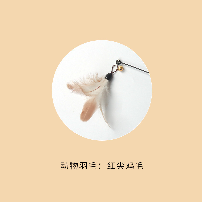CFA試合級の猫をからかう棒の木の柄は猫のおもちゃの羽の子猫をかむことに耐えます。|undefined