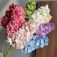 ���滨���}�����֦�R������������Ҿ��bٻ���c���ÔzӰ����