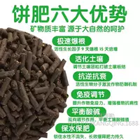 Ферментированное удобрение для кунжутного торта, органическое удобрение, масло, разложившееся ферментированное цветочное удобрение для посадки цветов и овощей, универсальное для горшечных цветов.