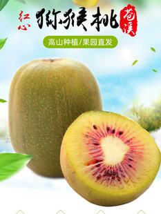 �Ĵ��VԪ�nϪ�t�īJ���� �殐�����r���]5��10����ش���Y�Џ���