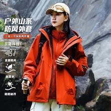 ��ȸ�t�_�h����Ů����һ2025�ﶬ�¿�ɲ�ж���L�ɼ�����q������