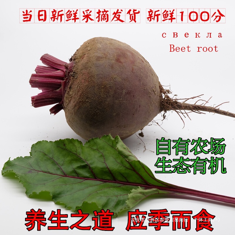 甜菜根新鲜现挖5斤甜菜头紫菜头红甜菜农产品蔬菜红菜头包邮散装|undefined