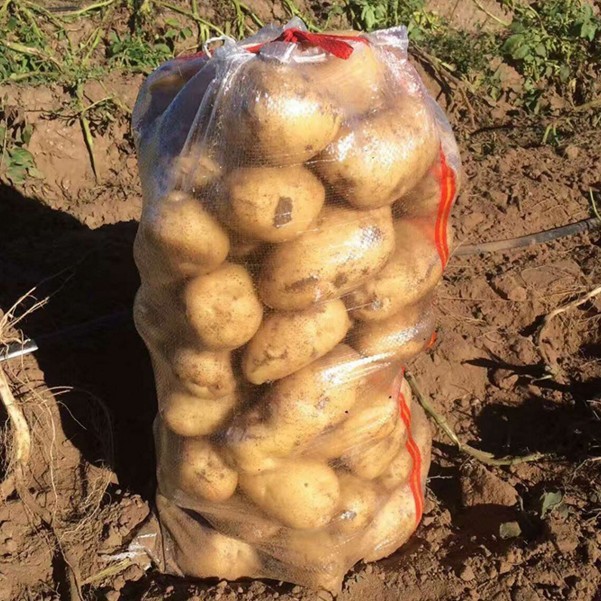Nuevo material de grado alimenticio bolsa de papas transparentes bolsa de cebolla 50kg puede perforar exportación Chile Rusia Europa