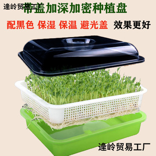 �I��ѿ�lѿ�趹���㶹������P�Nֲ�Pѿ���ˮ���߲��O��ѿ������