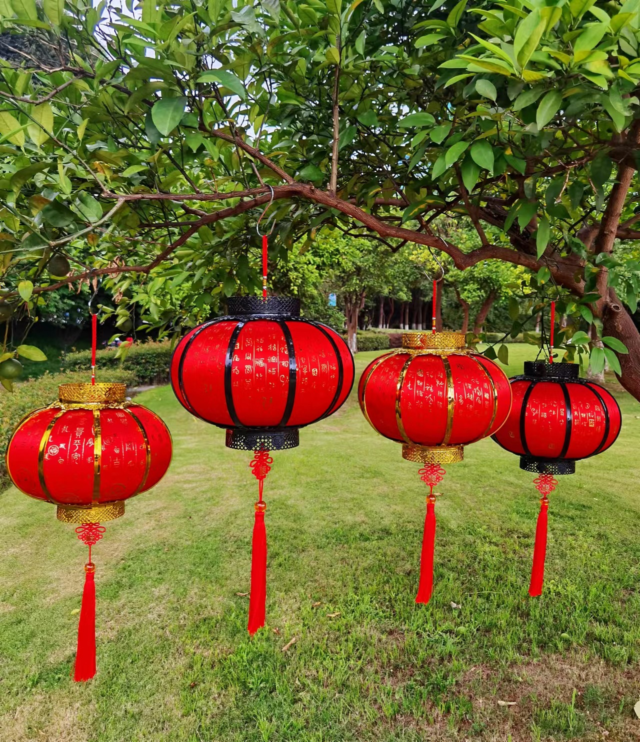 微信图片_20221005102108