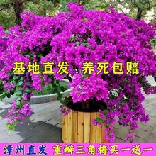 ���Iһ��һ������÷�N�ڻ��ذ������ͺ������Ϙ������ļ��_��