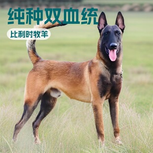 ���N�pѪ�y�RȮ��Ȯ�����r����Ȯ��Ȯ�o�lȮ����Ȯ�RȮ���w���ﹷ