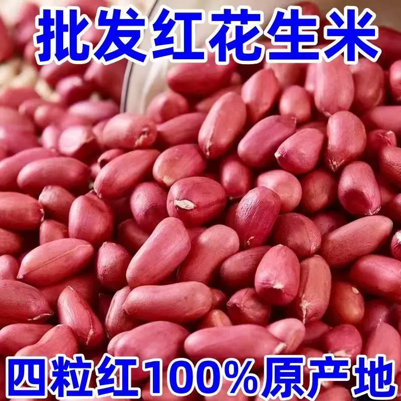 代发新货东北红衣生花生米500g散装红花生仁新鲜红皮不带壳花生米