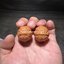 �W�tͬ������С���Ҿ������ֽ���ұP��С�ߴ�����Ů�ְѼ�����