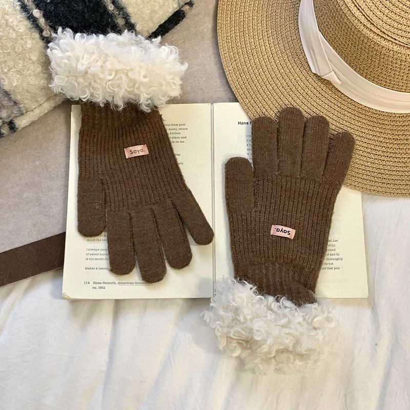 Nuevos guantes de borde de peluche coreanos para mujeres otoño invierno versátil grueso guantes de dedo de pantalla táctil de lana cálida