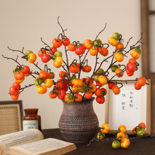 ����ʽ����lؔ��С�Ϲ�֦ �������ռҾ��bٻ��[�������Ϲ�֦