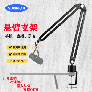Desktop Microphone Microphone Cantilever Bracket Live Shelf Medical Beauty Metal Bracket Overhead Shooting Factory Outlet