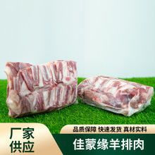 广东佳蒙缘精修去脂烧烤肉羊排肉羊肋骨烧烤火锅大排档羊肉原料