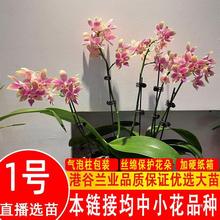 #4.23ո¸۹Ⱥm܎玧ֲﻨm