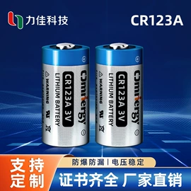 纽扣电池;锂电池