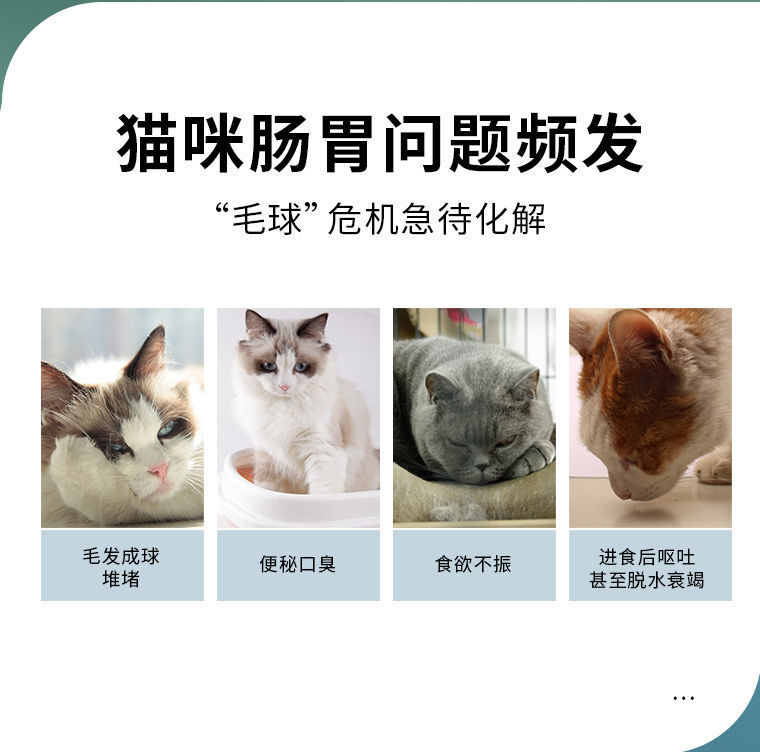 6f042512-b67b-4bc6-9b48-00ce3d77c7b3.jpe