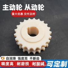 尼龙链轮齿轮加工柔性塑料齿轮含油注塑耐磨尼龙传动主动轮被动轮