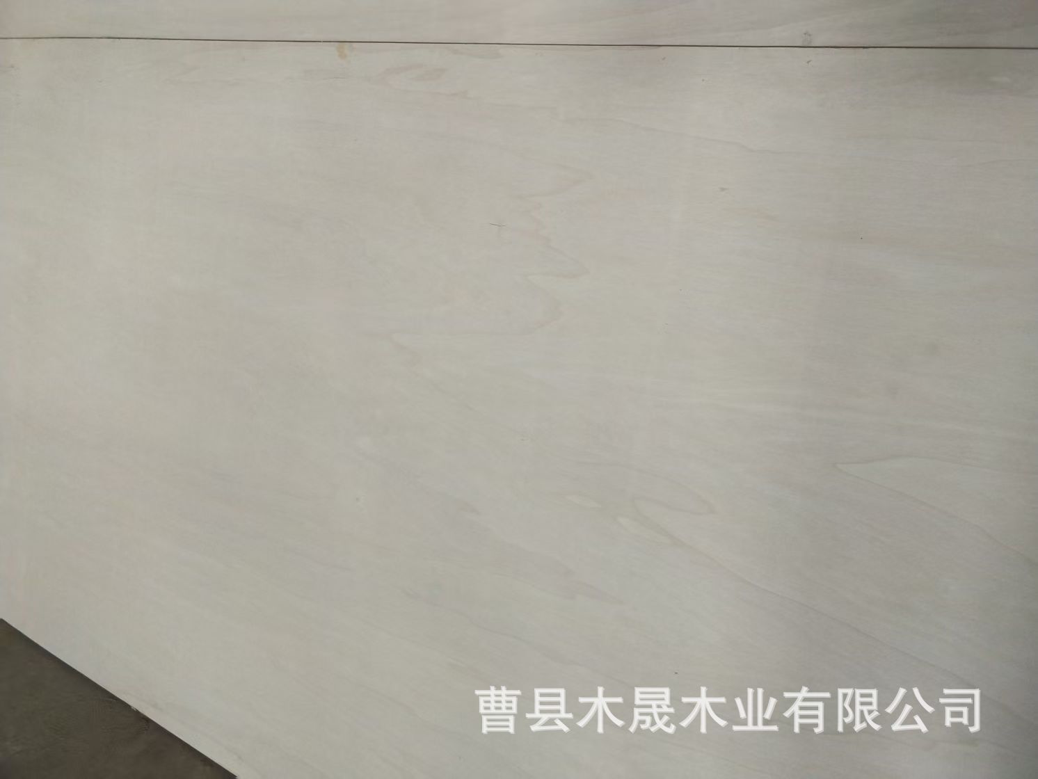 微信图片_202504301334231.jpg
