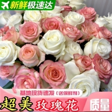 �r���������õ�廨������ֱ�l���]���տ�����ˮ�B�廨