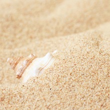沙盘造景沙子儿童玩具游戏沙滩沙细海沙鱼缸心理专用包邮厂家直销