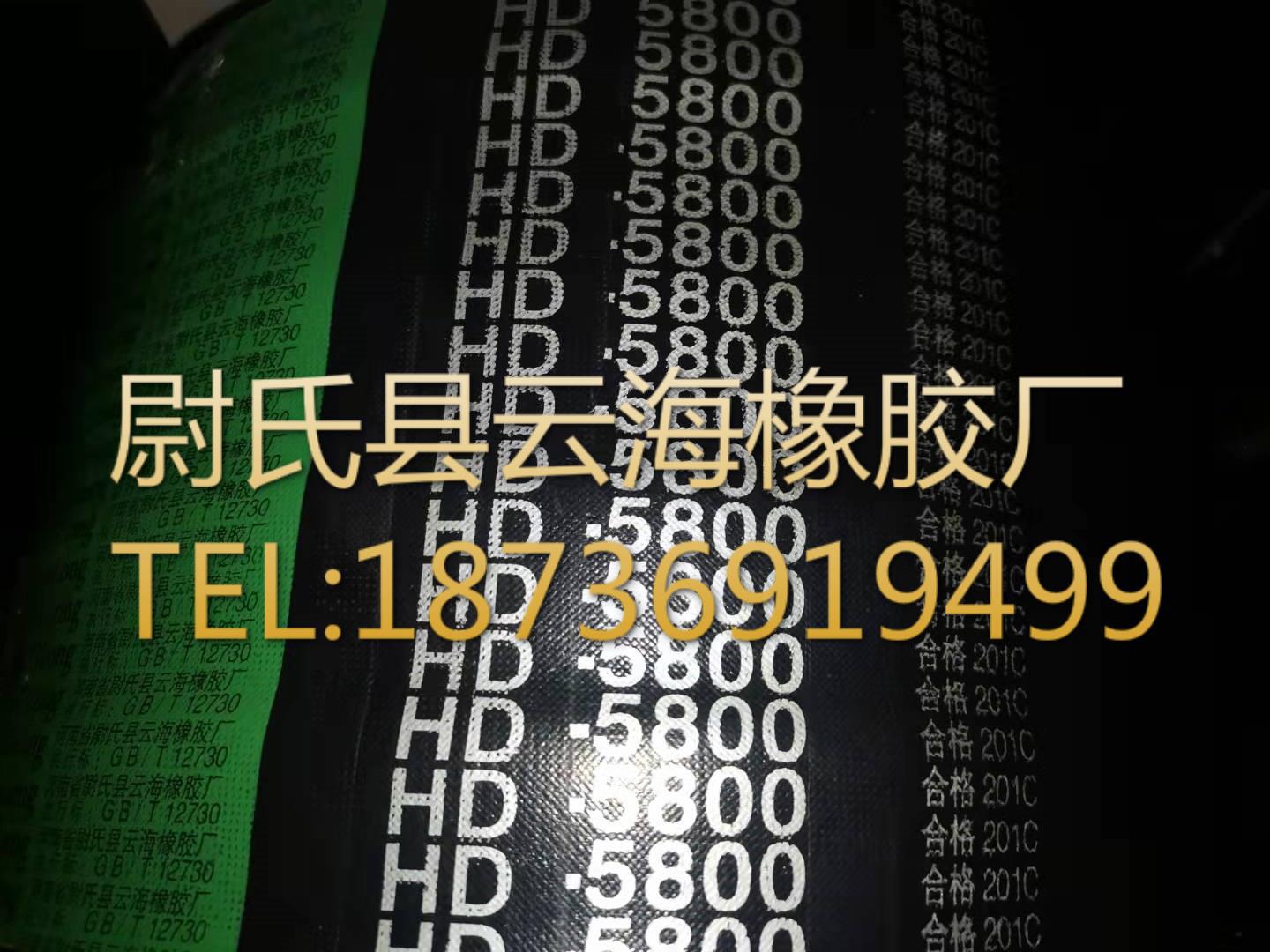 普通V带联组带 D型联组带 矿山设备用联组带 D型联组5800mm