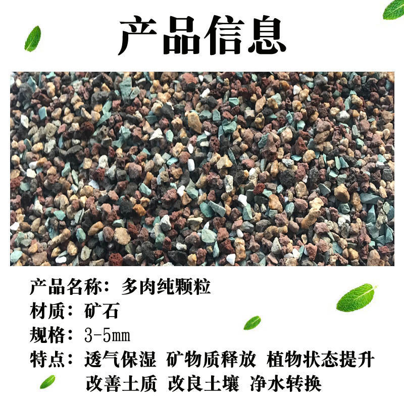 4a68b164-9d94-4047-91b0-c00ea233d804.jpe